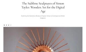 Arthur Tonnerre - Simon Tayler - Art Criticism
